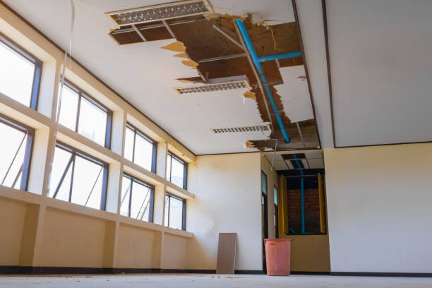 Best Ceiling water damage repair  in Canton, MS