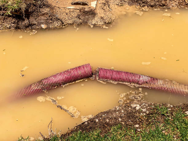 Water damage restoration mold remediation in MS