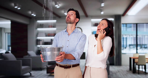 Best Mold removal after water damage  in Canton, MS